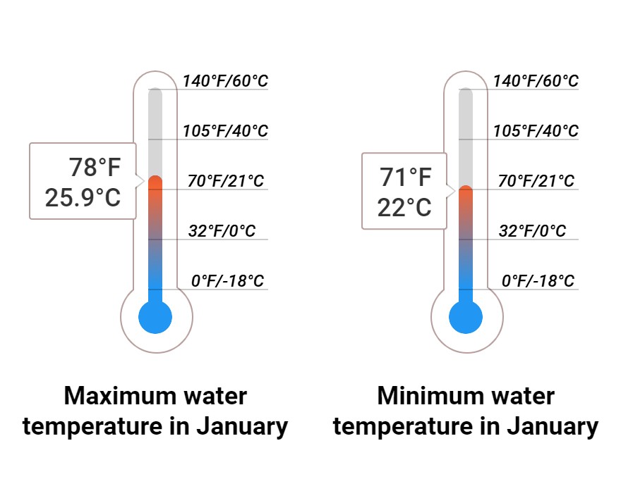 Average Sea temperature